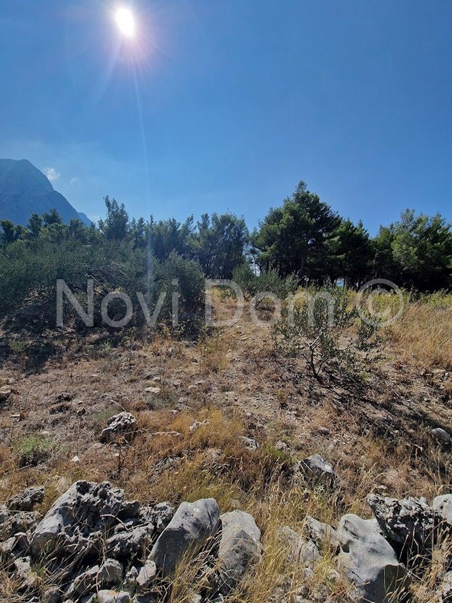 Land For sale - SPLITSKO-DALMATINSKA  BAŠKA VODA 