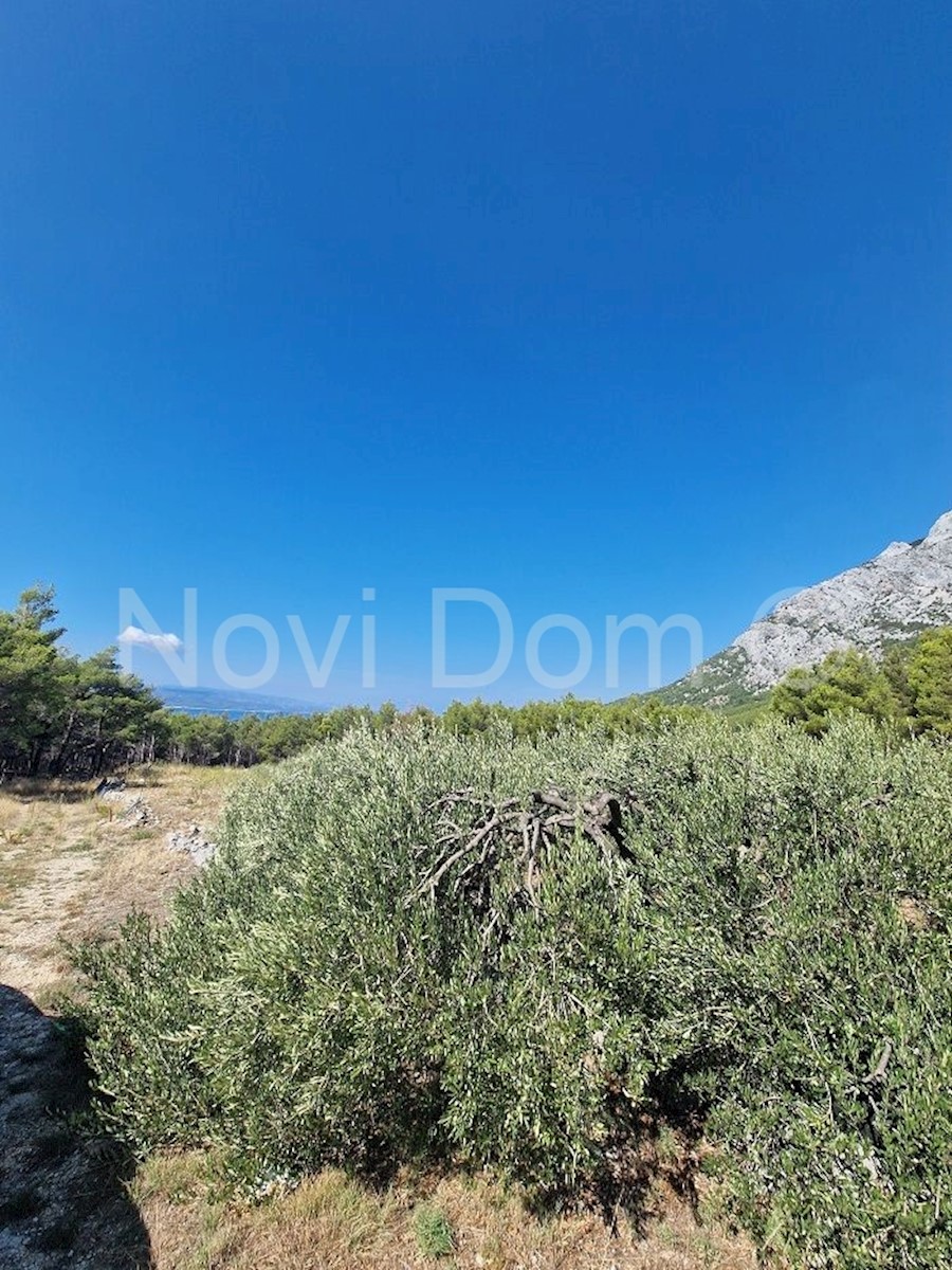 Land For sale - SPLITSKO-DALMATINSKA  BAŠKA VODA 