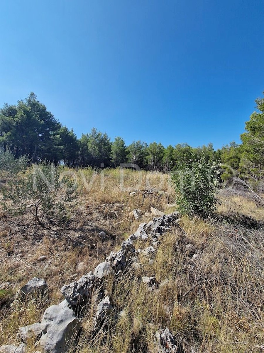 Land For sale - SPLITSKO-DALMATINSKA  BAŠKA VODA 