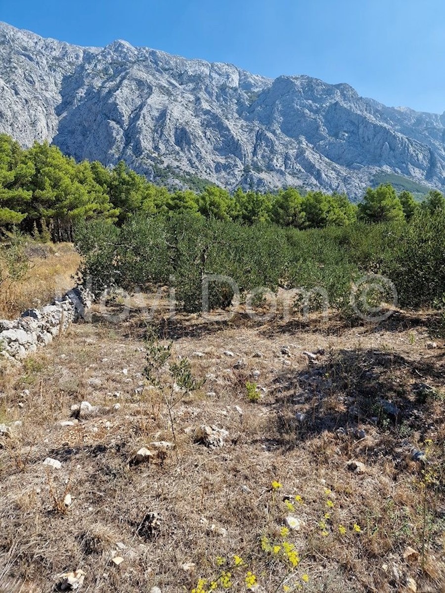 Parcela Naprodaj - SPLITSKO-DALMATINSKA  Baška Voda