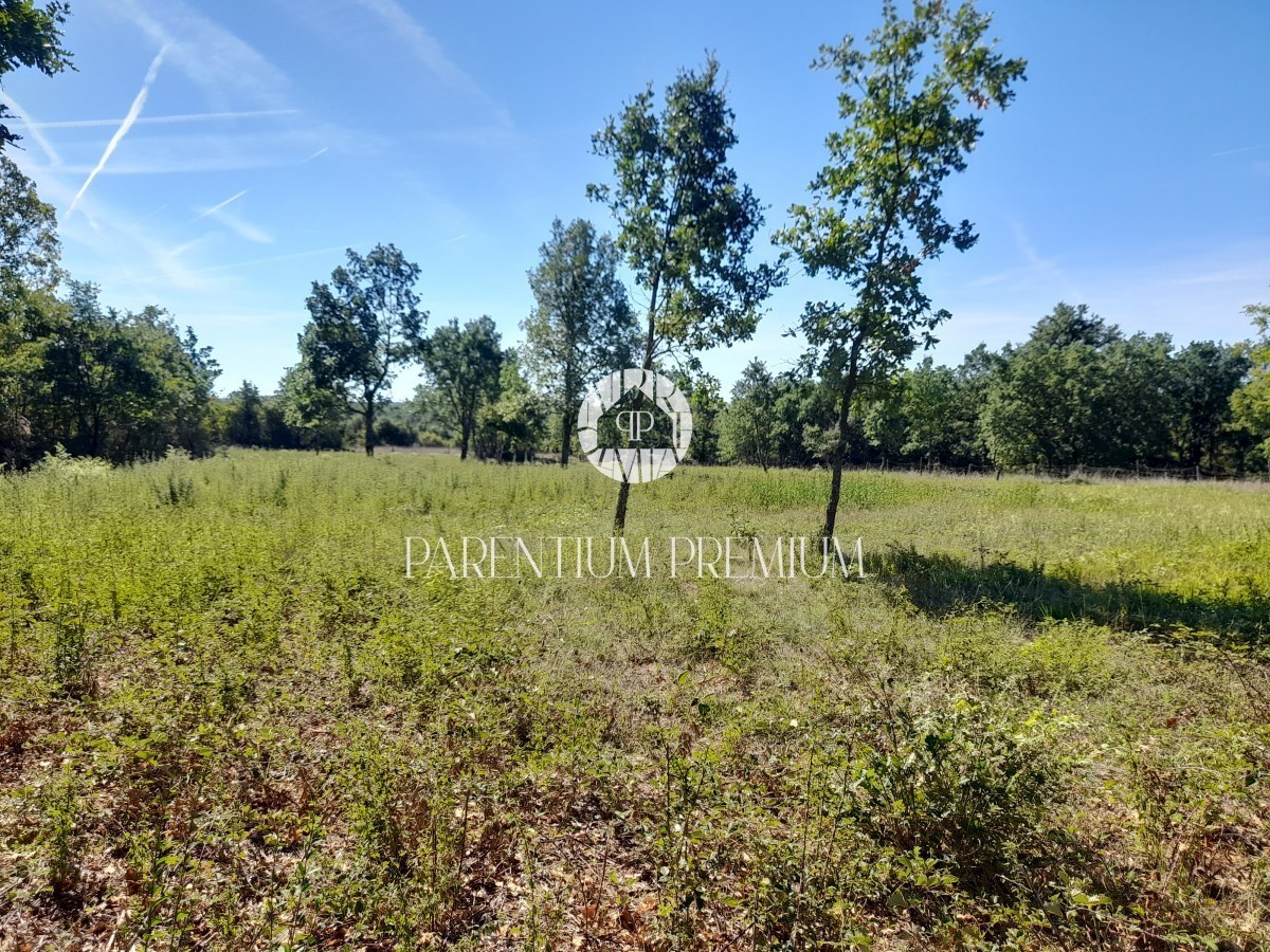 Land For sale - ISTARSKA  POREČ 