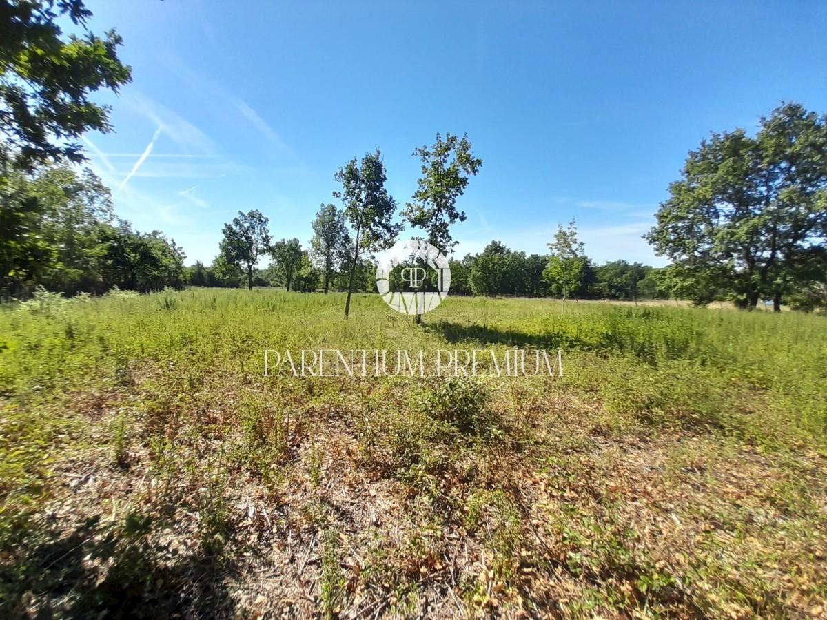 Land For sale - ISTARSKA  POREČ 