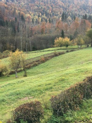 Pozemok na predaj 1845 m² – Moravice