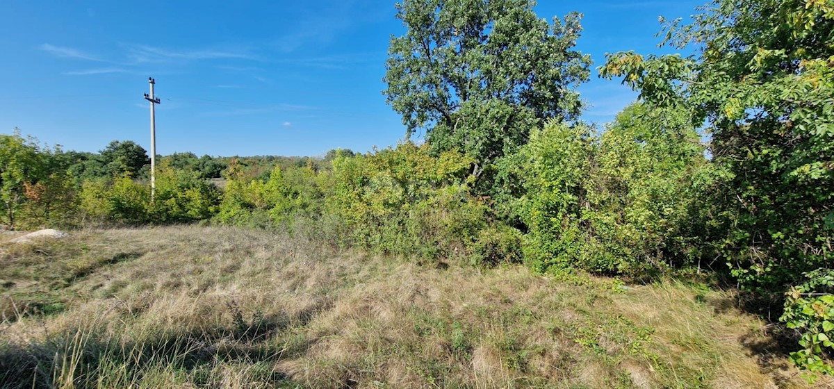 Land For sale - ISTARSKA  ŽMINJ 