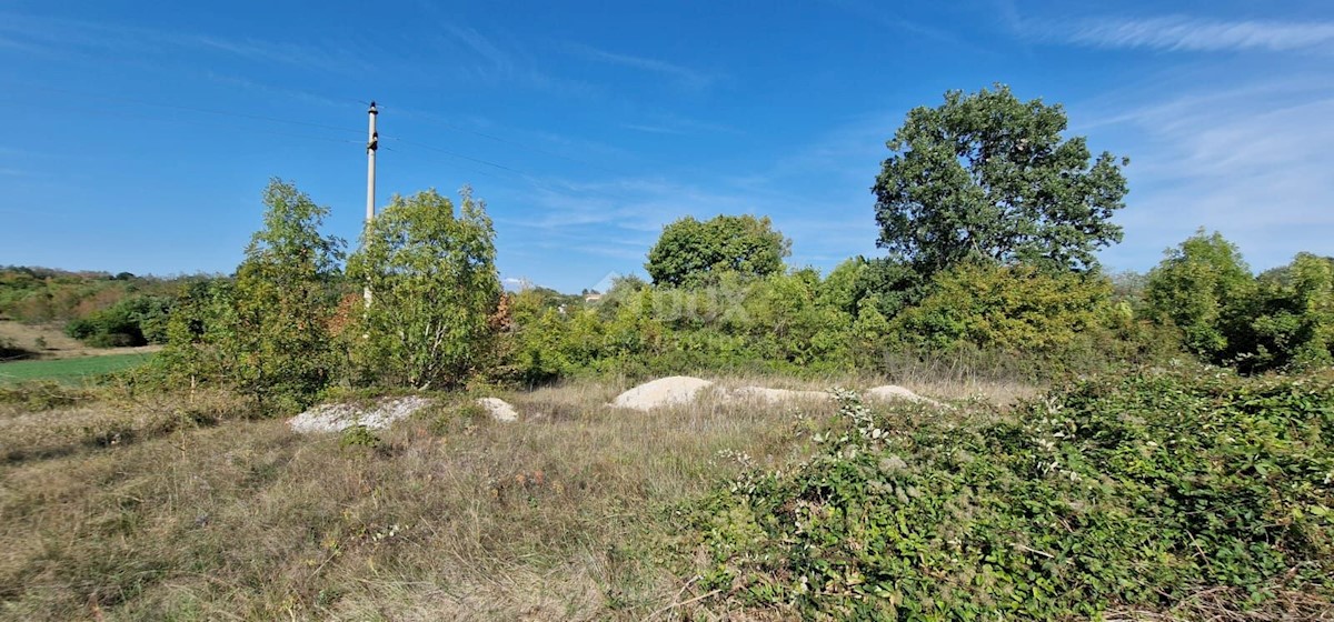 Land For sale - ISTARSKA  ŽMINJ 