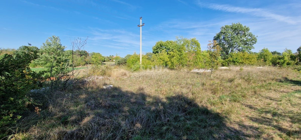 Land For sale - ISTARSKA  ŽMINJ 