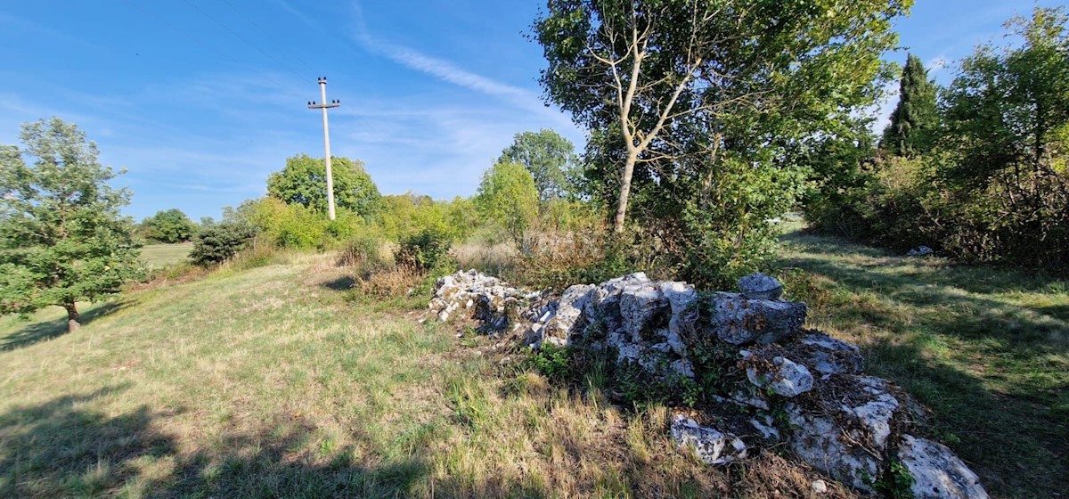 Land For sale - ISTARSKA  ŽMINJ 