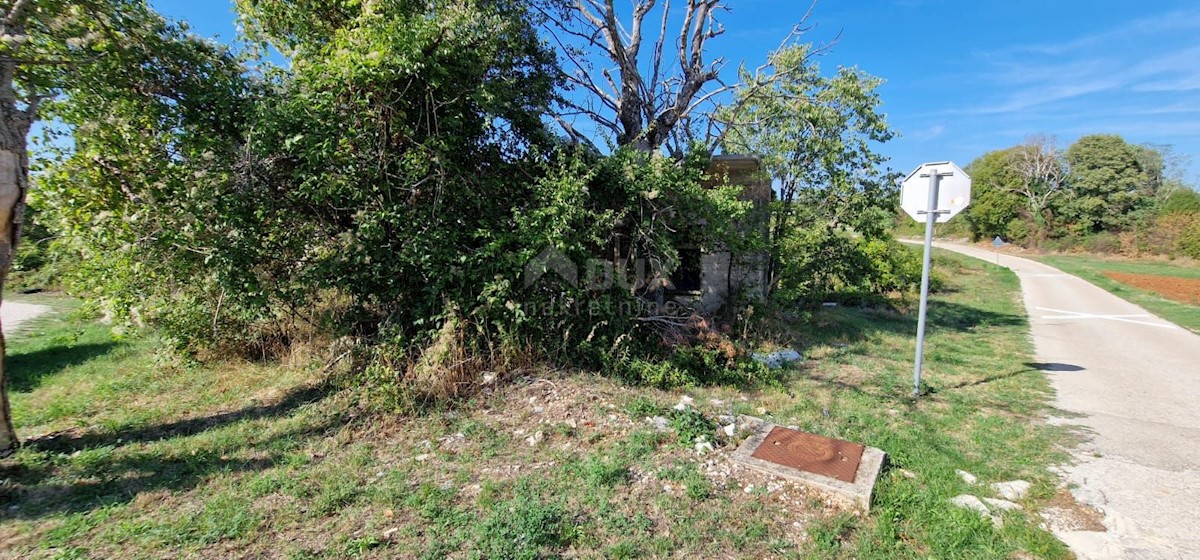 Land For sale - ISTARSKA  ŽMINJ 