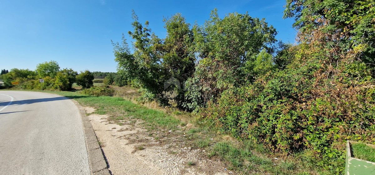 Land For sale - ISTARSKA  ŽMINJ 