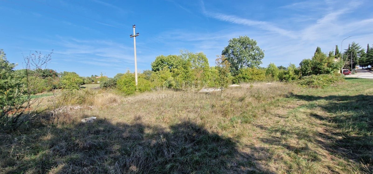 Land For sale - ISTARSKA  ŽMINJ 