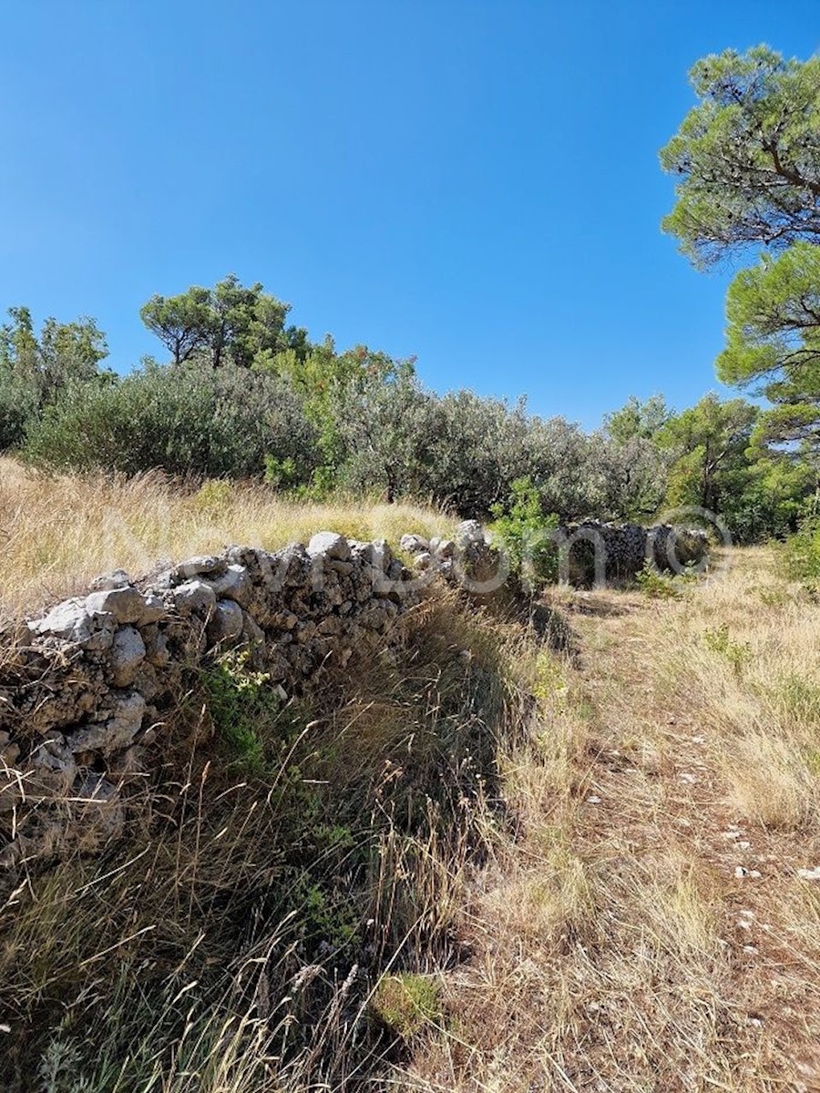 Land For sale - SPLITSKO-DALMATINSKA  BAŠKA VODA 