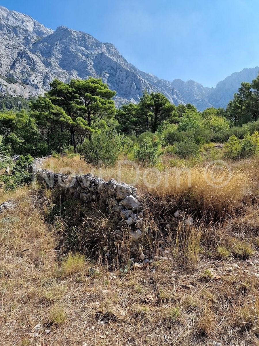 Land For sale - SPLITSKO-DALMATINSKA  BAŠKA VODA 