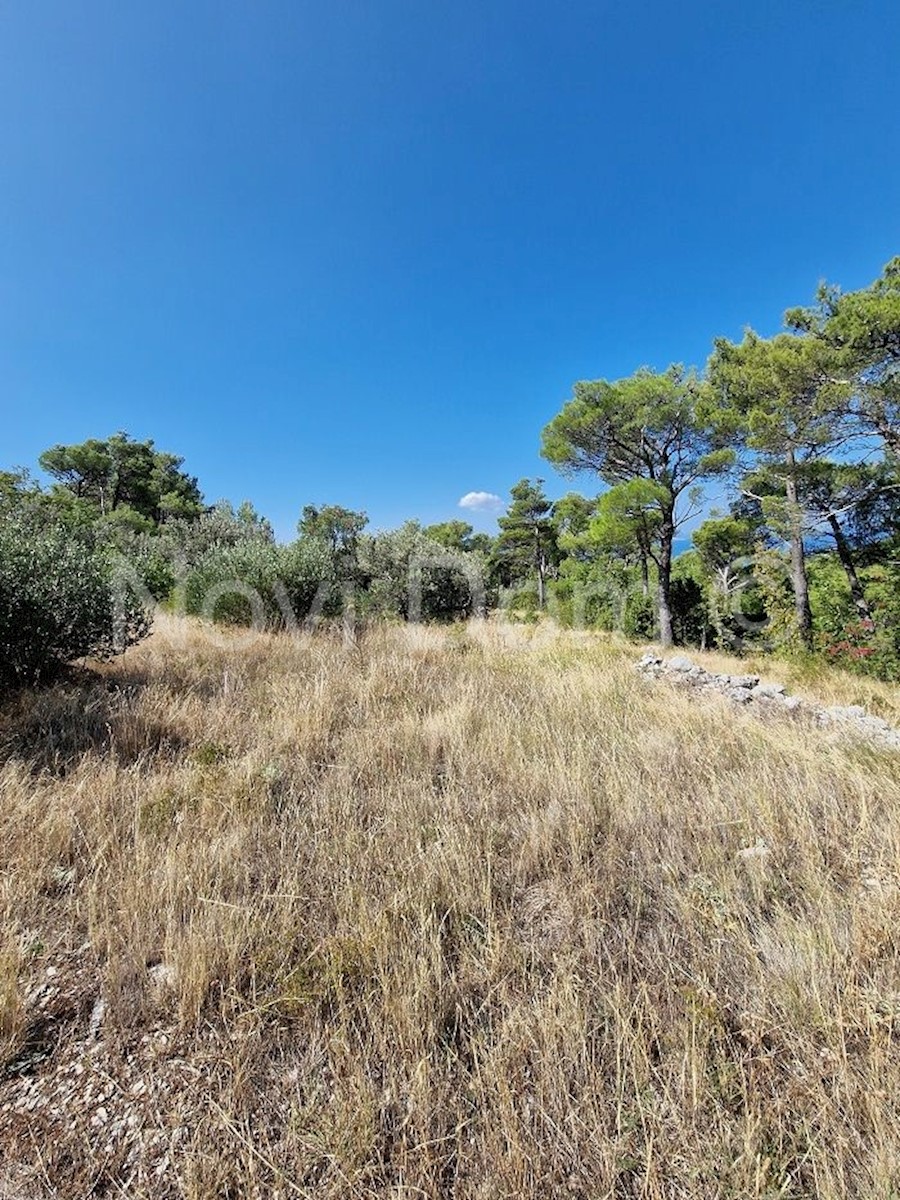 Land For sale - SPLITSKO-DALMATINSKA  BAŠKA VODA 