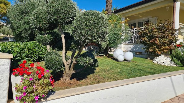 House For sale - Istarska Poreč - foto 3/29