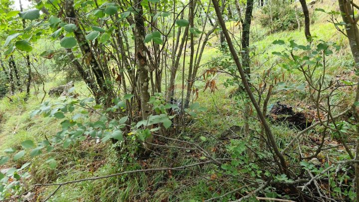 Land for sale 4485 m² – Breza