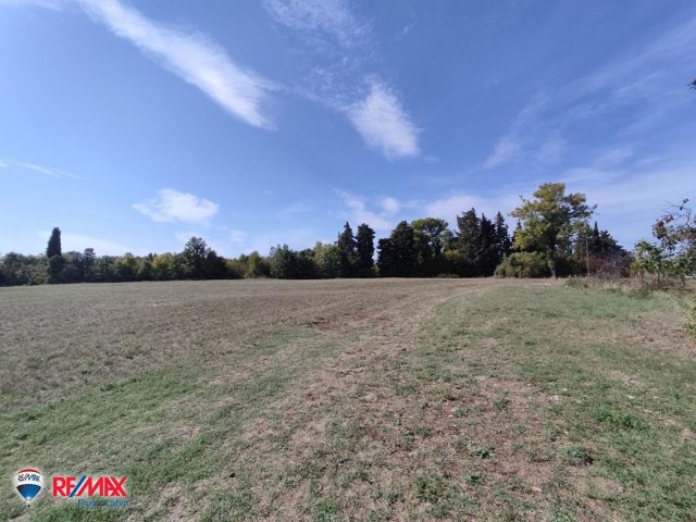 Land for sale 32900 m² – Barban