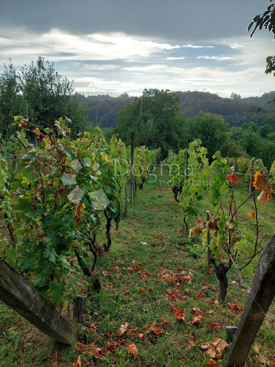 Dom Na predaj - VARAŽDINSKA  JALŽABET 