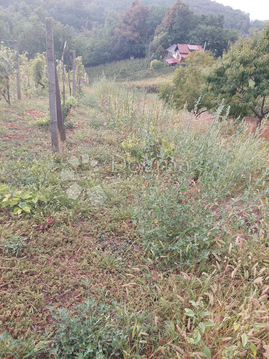 Kuća Na prodaju - VARAŽDINSKA  JALŽABET 