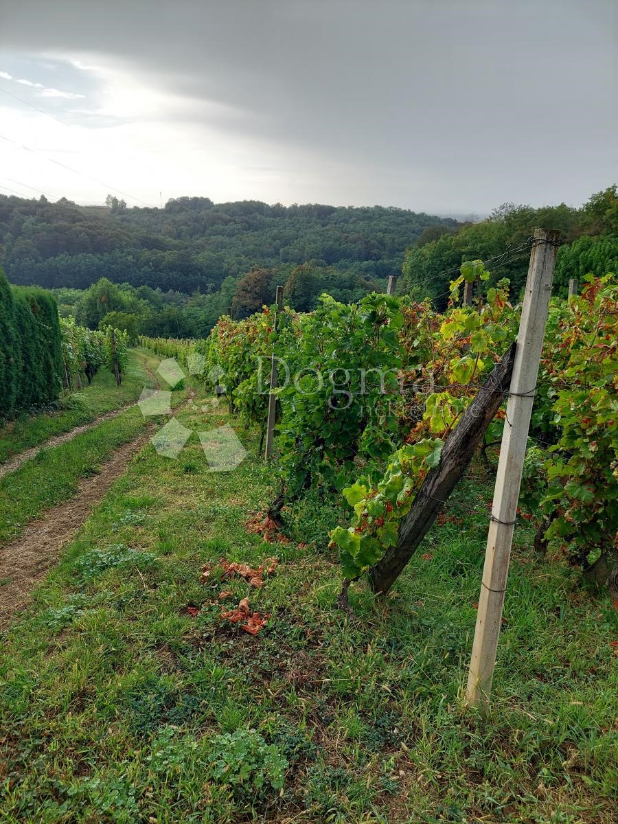 House For sale - VARAŽDINSKA  JALŽABET 