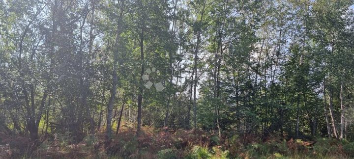 Terreno in vendita 13274 m² – Hrsina
