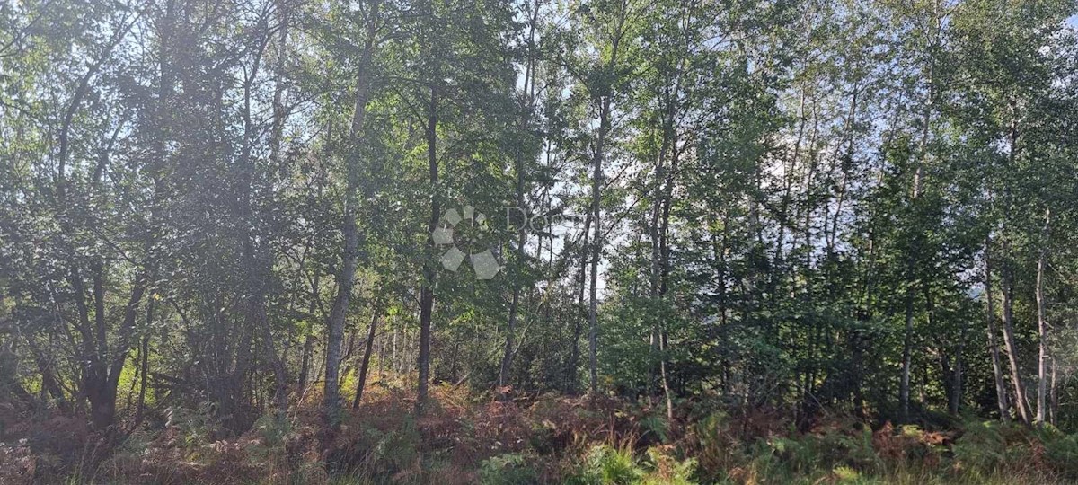 Terreno In vendita HRSINA