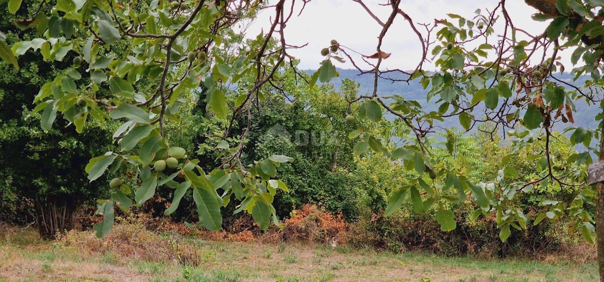 Parcela Naprodaj - ISTARSKA  Pićan