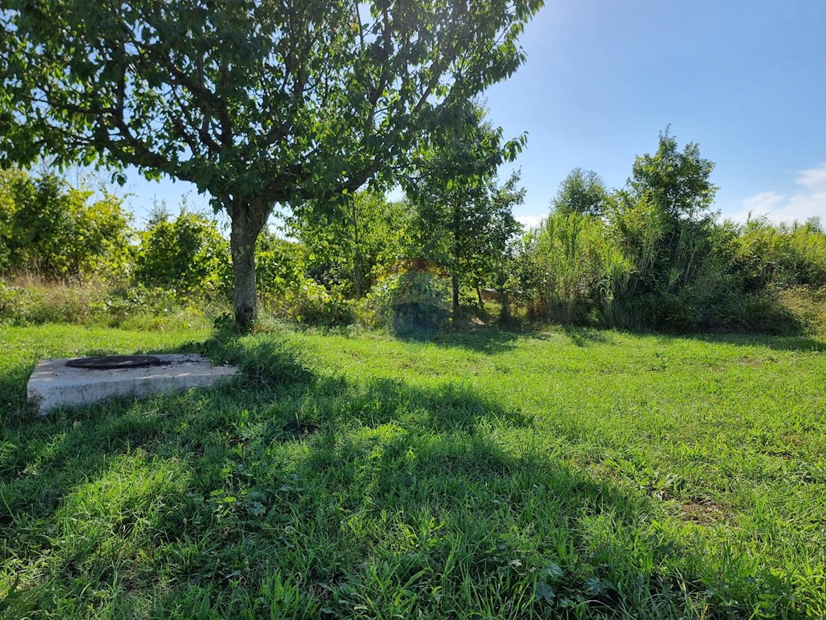 Land For sale - ISTARSKA  POREČ 