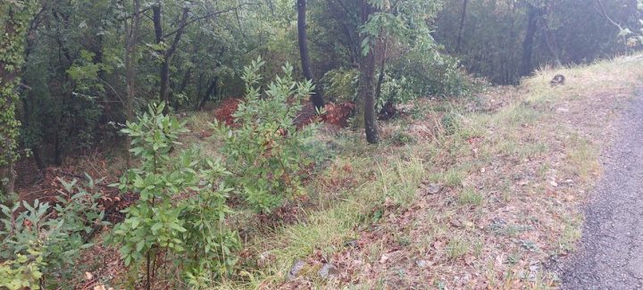 Parcela Naprodaj - Primorsko-goranska Mošćenička Draga - foto 4/4