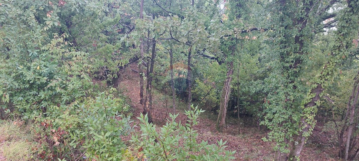 Land For sale - Primorsko-goranska Mošćenička Draga - foto 3/3