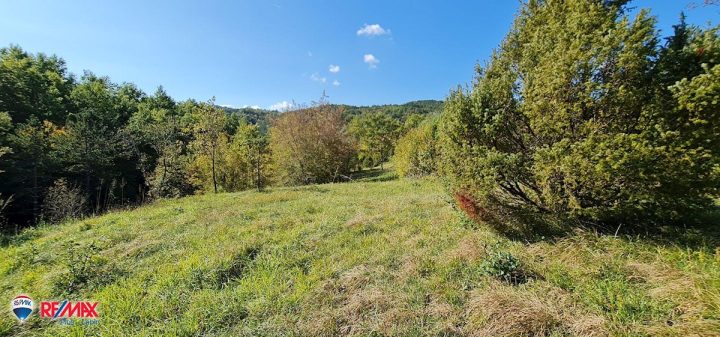 House for sale 41362 m² – Boljun