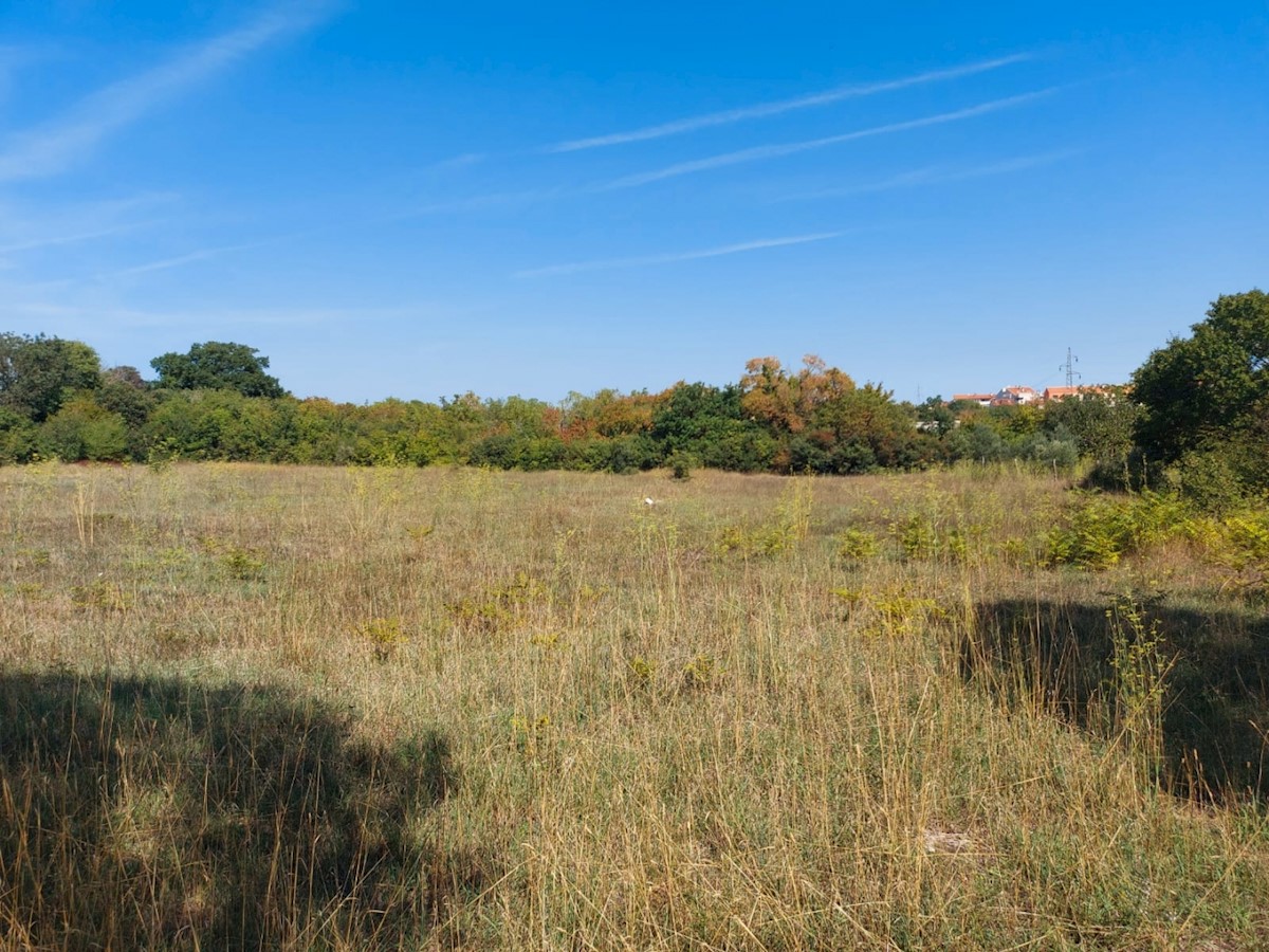 Land For sale - ISTARSKA  ROVINJ 