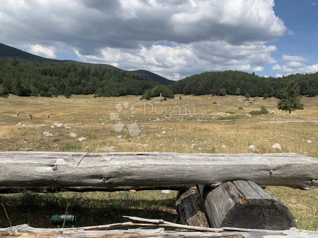 Pozemek na prodej 11317 m² – Čavle