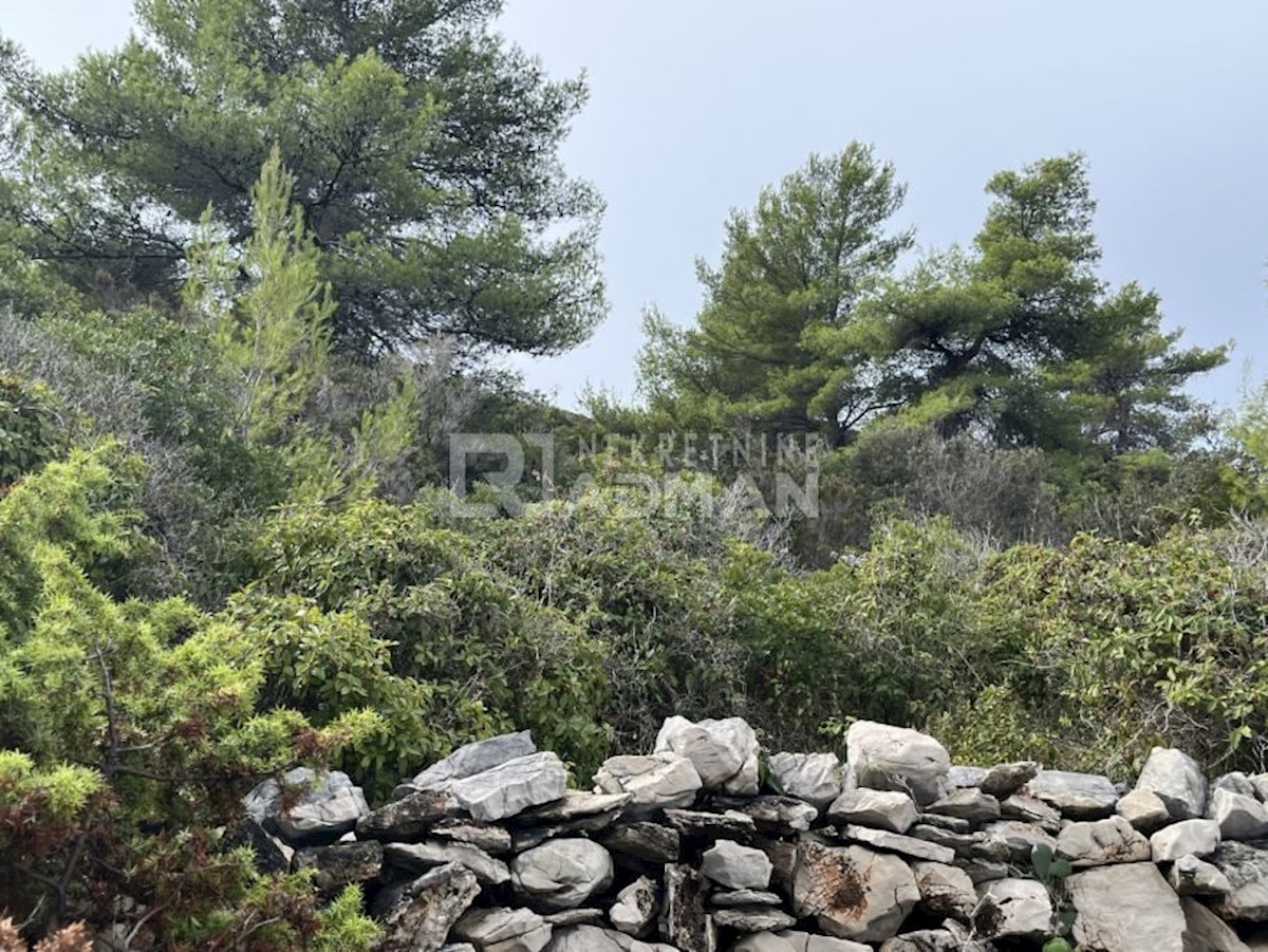 Land For sale - SPLITSKO-DALMATINSKA  ŠOLTA 