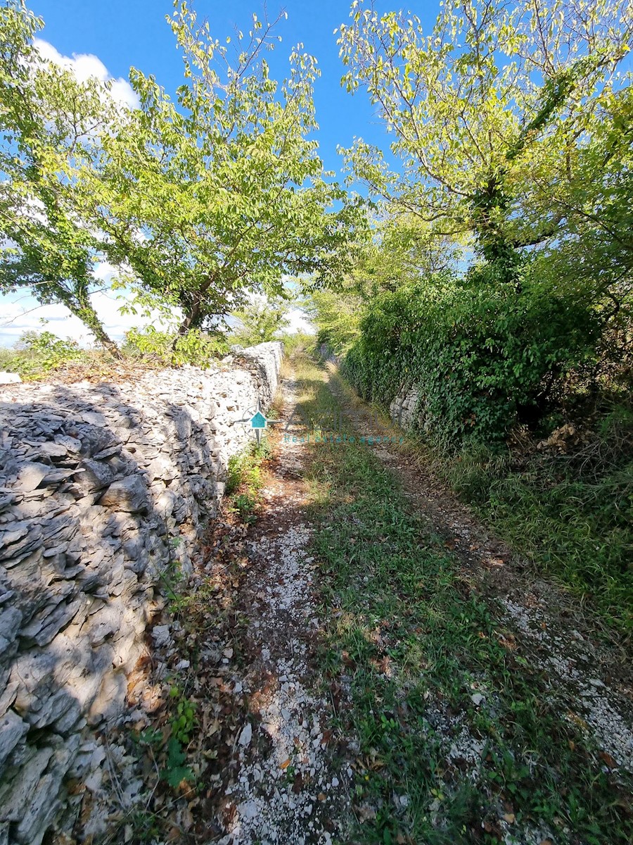 Pozemek Na prodej - ISTARSKA  VODNJAN 