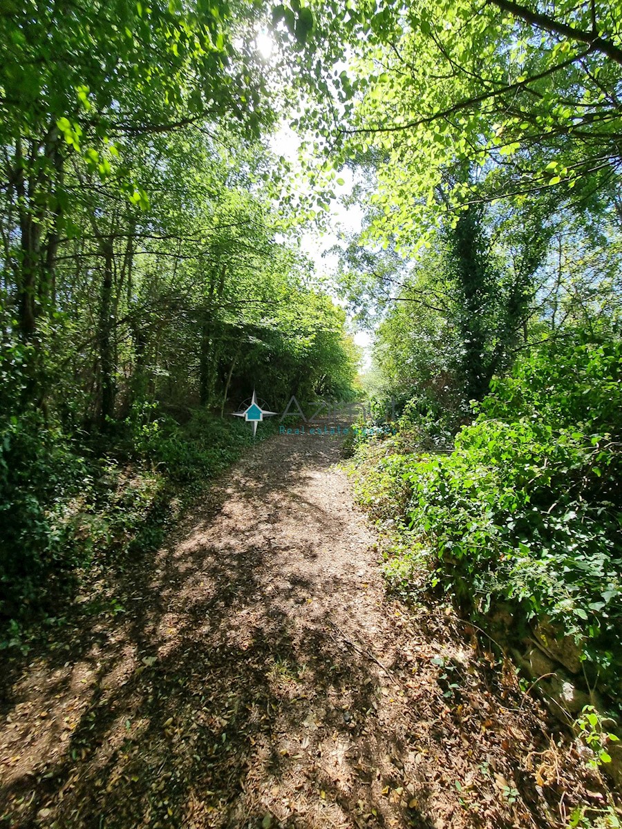 Pozemek Na prodej - ISTARSKA  VODNJAN 