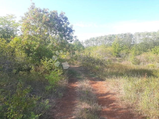 Terreno In vendita - Istarska Vodnjan - foto 3/4