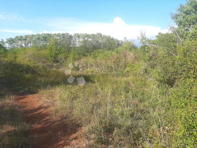 Terreno In vendita - Istarska Vodnjan - foto 4/4