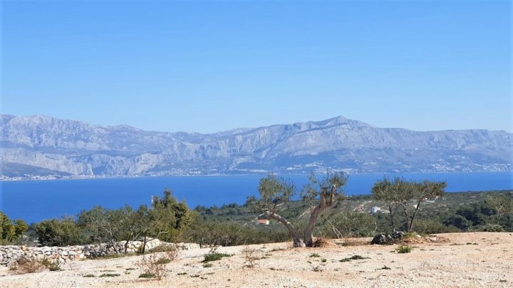Land For sale - Splitsko-dalmatinska Brač - foto 2/10