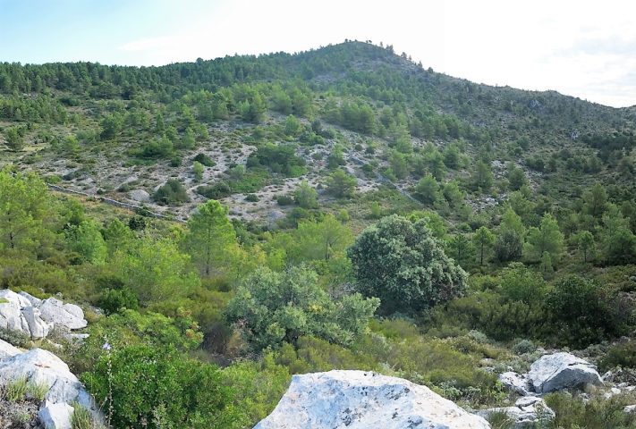 Hiša Naprodaj - Splitsko-dalmatinska Hvar - foto 4/4
