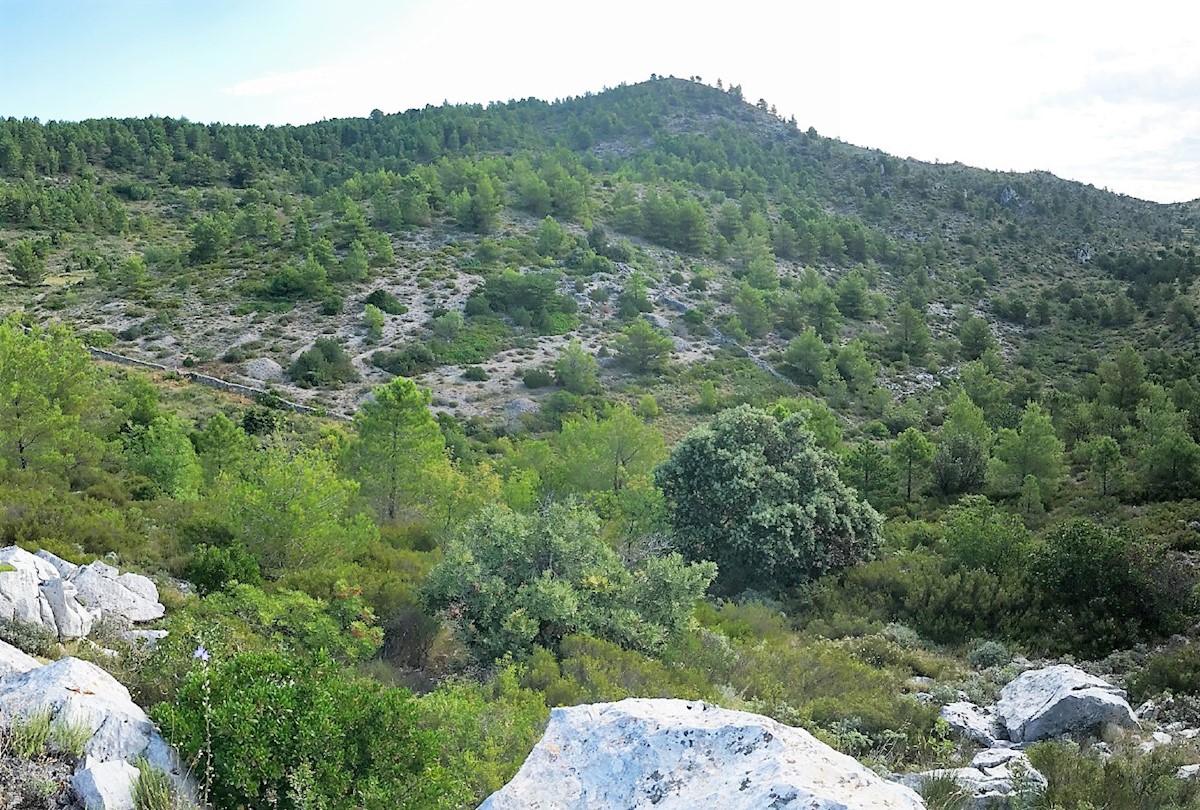 Kuća Na prodaju - SPLITSKO-DALMATINSKA  HVAR 