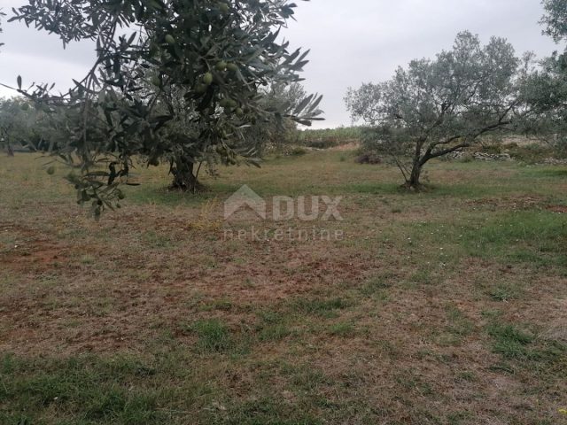 Działka na sprzedaż 1351 m² – Fažana