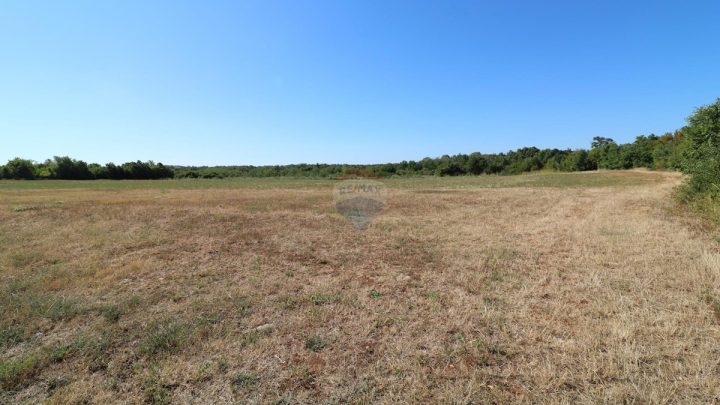 Parcela na predaj 9590 m² – Poreč