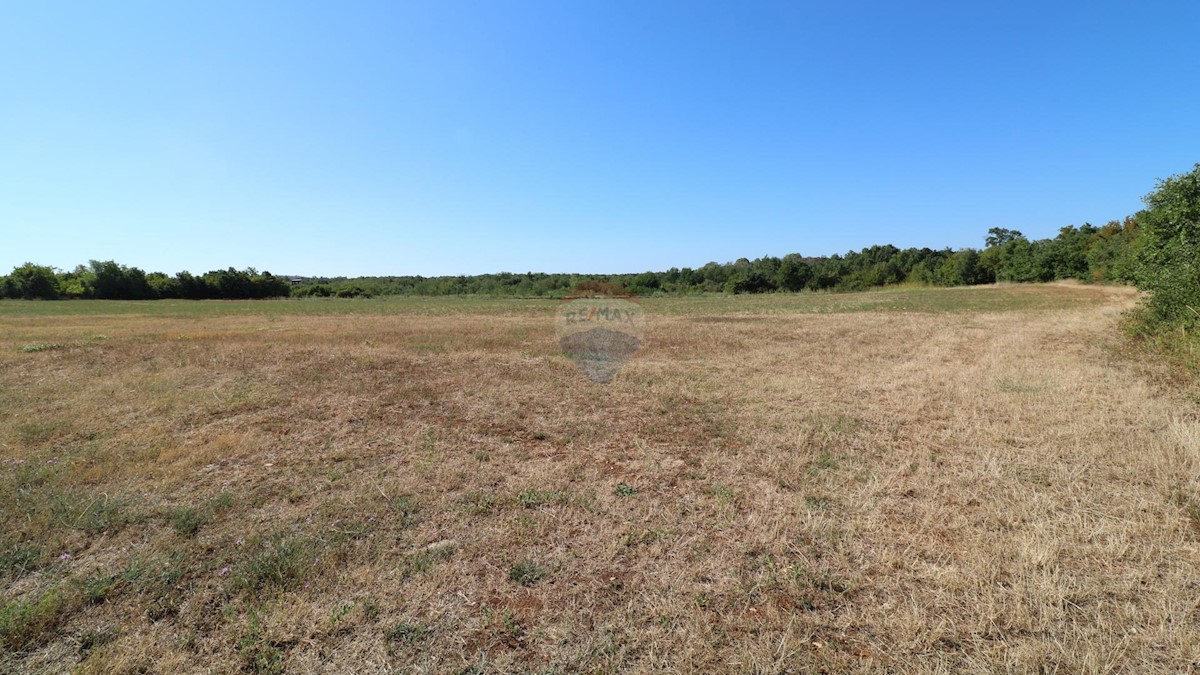 Terreno In vendita - ISTARSKA  POREČ 