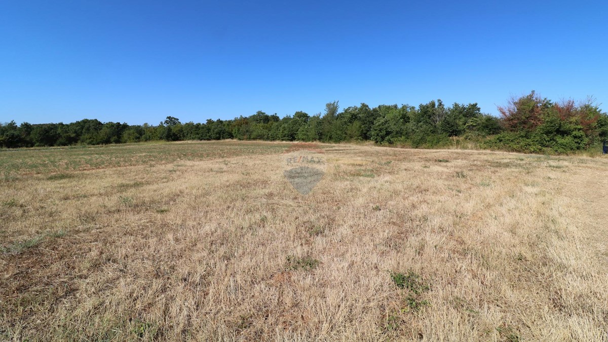 Terreno In vendita - ISTARSKA  POREČ 