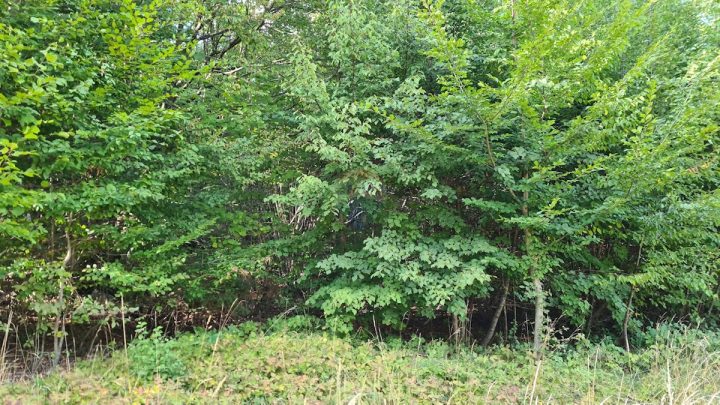 Terreno in vendita 2720 m² – Matulji