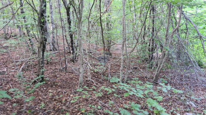 Land For sale - Primorsko-goranska Matulji - foto 2/2