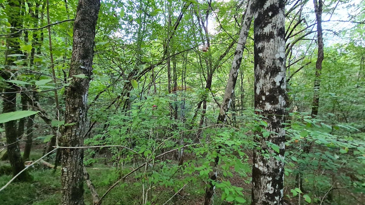 Parcela Naprodaj - PRIMORSKO-GORANSKA  Matulji