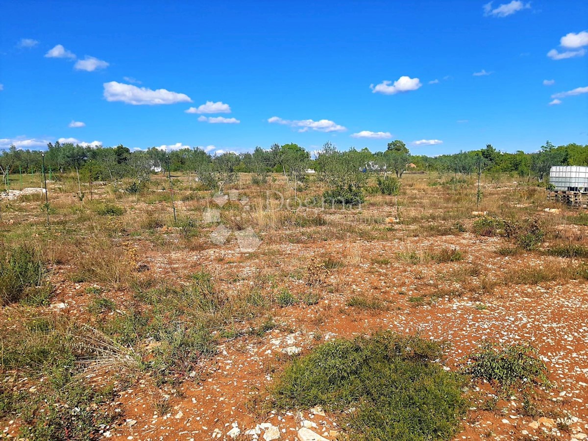Land For sale - ISTARSKA  FAŽANA 