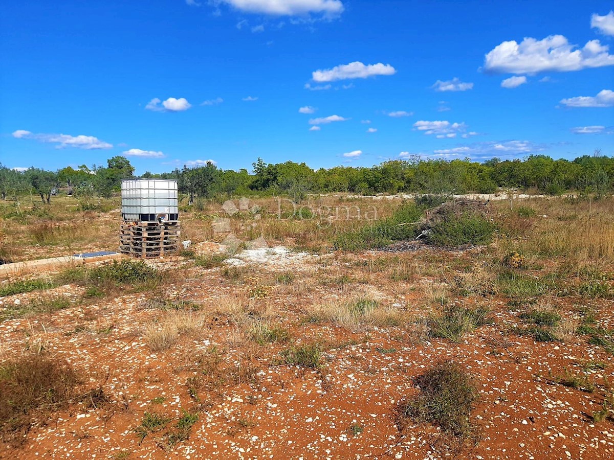 Land For sale - ISTARSKA  FAŽANA 