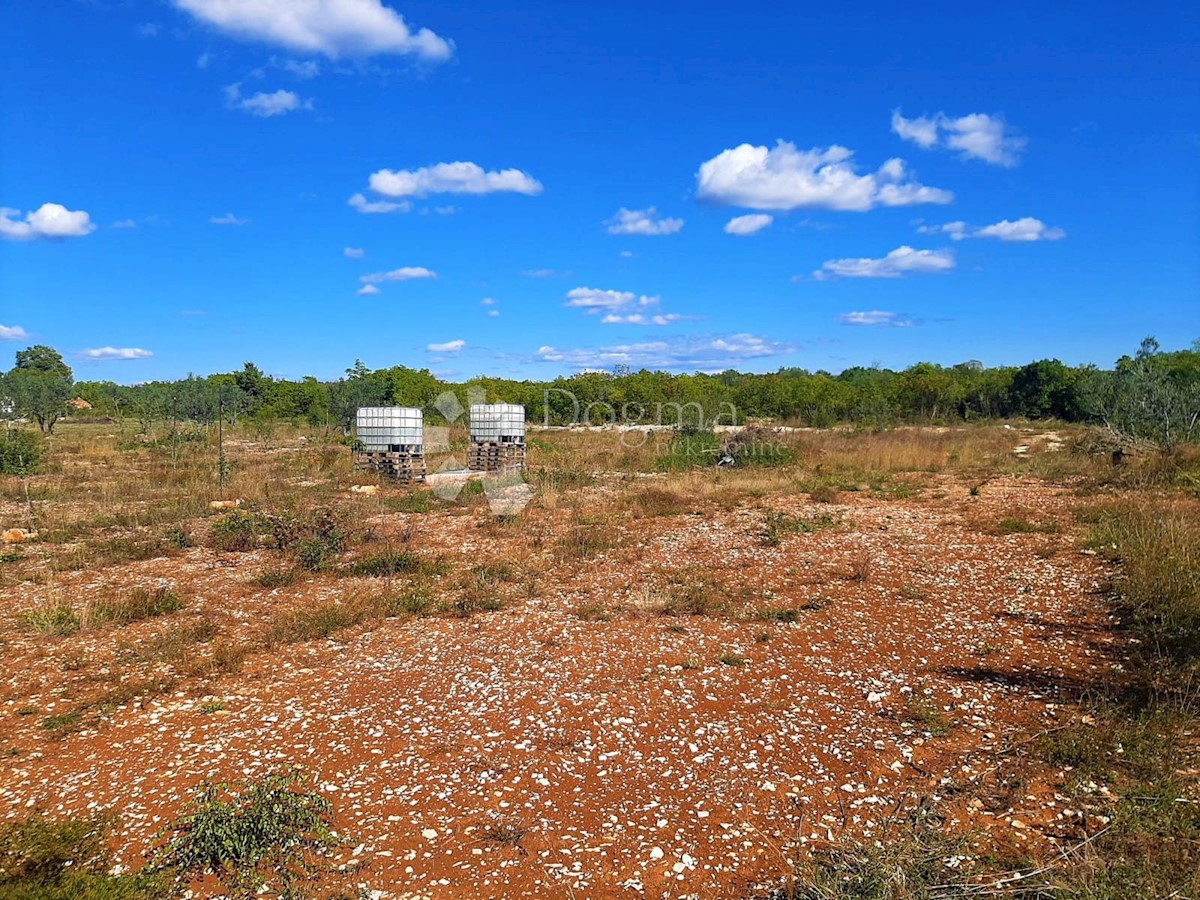 Land For sale - ISTARSKA  FAŽANA 